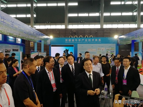 安徽这个普通二本很牛气,动物学院2020考研录取率39.24%