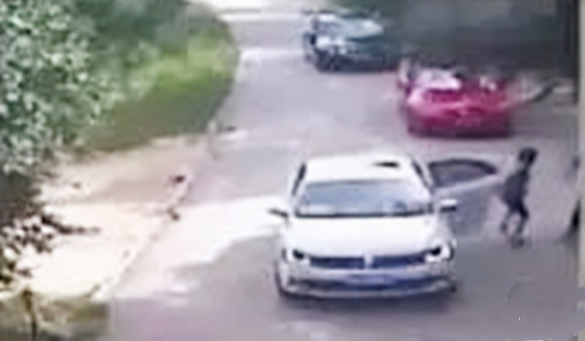 老虎咬死人事件真相,八达岭老虎咬游客事件