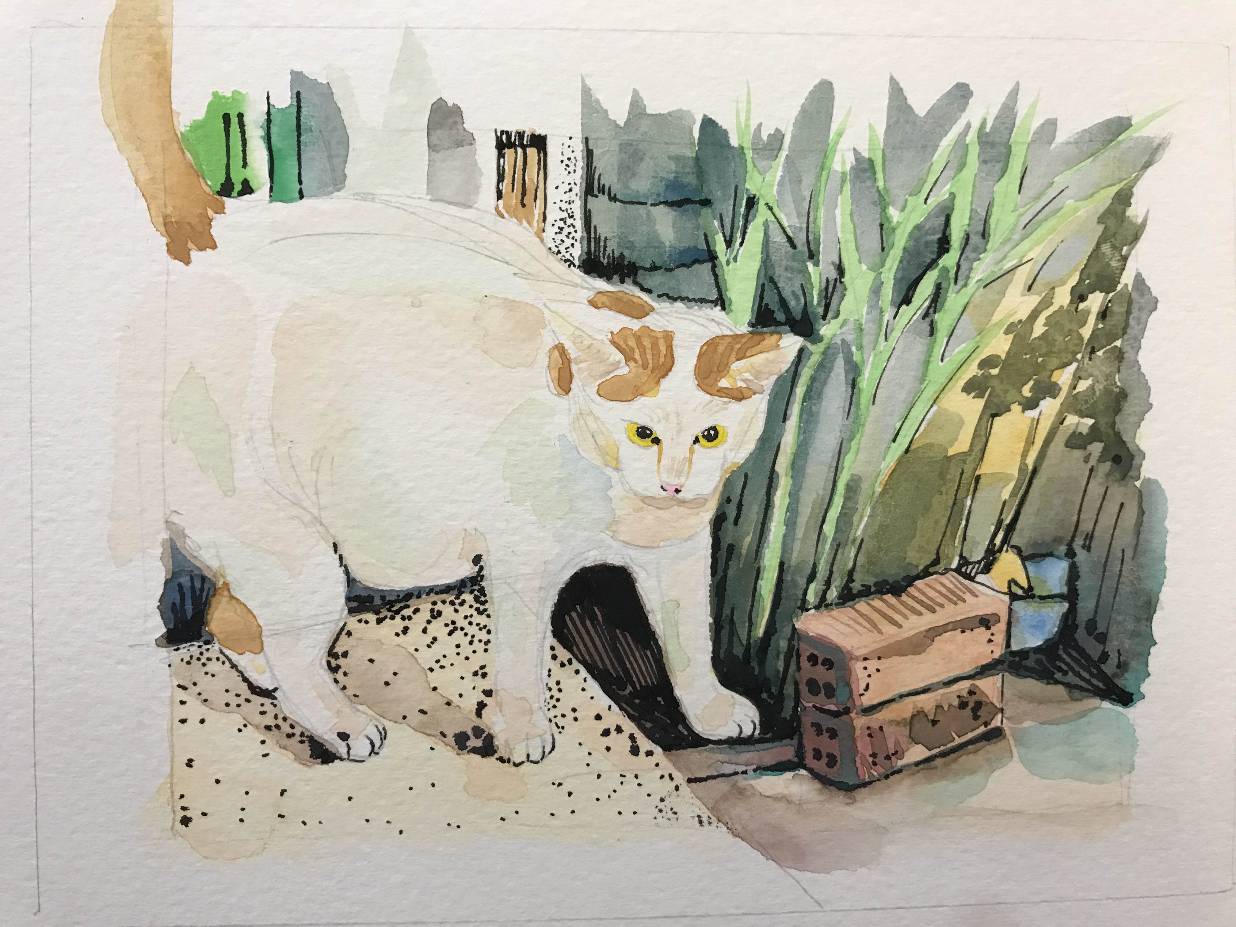 第一次去泰国旅游需要带什么,第一次到泰国旅游需要带什么