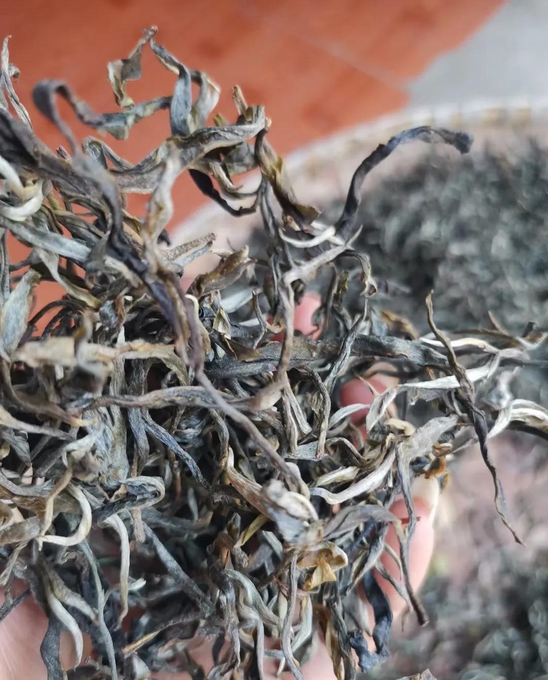 景迈普洱茶性价比,景迈纯古木流芳