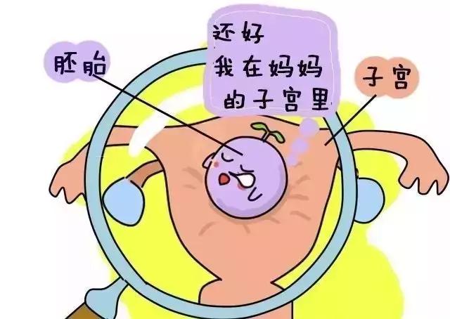 药流和人流的区别？一组漫画让你明白