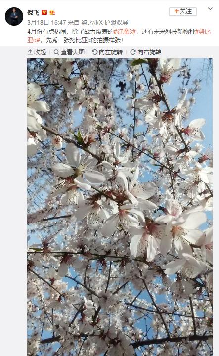 如何评价努比亚,外国对努比亚评价