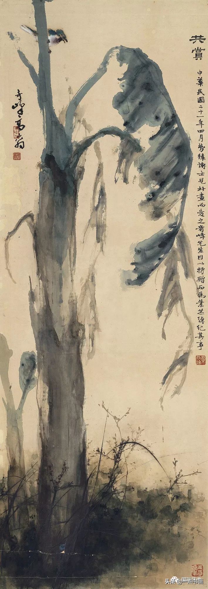 流光容易把人抛绿了芭蕉赏析,流光容易把人抛红了海棠绿了芭蕉