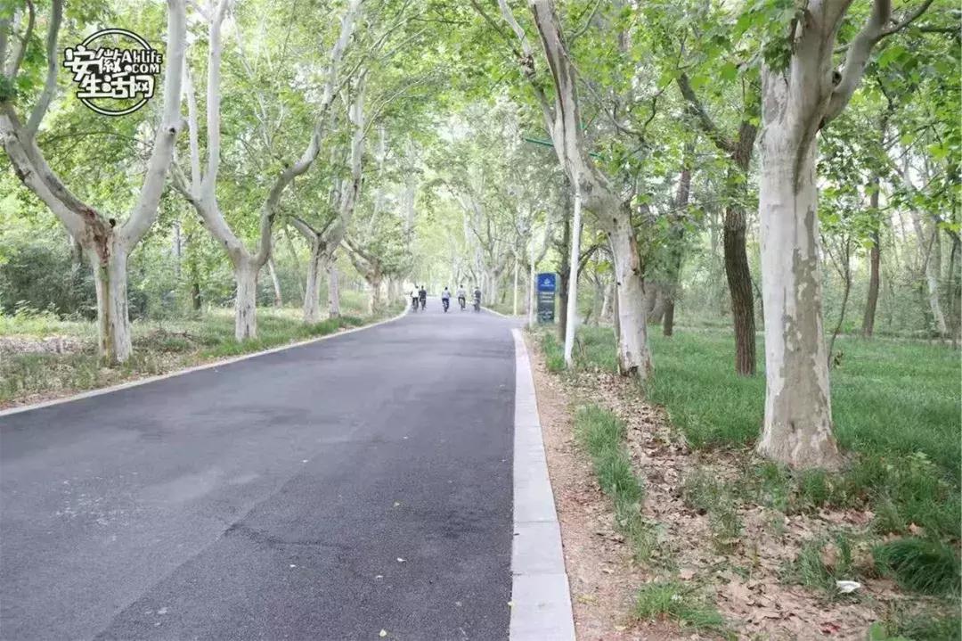 合肥一日游景点有哪些好玩的,合肥一日游最佳景点攻略