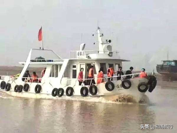 天津周边踏春好地方,天津一日游踏春路线