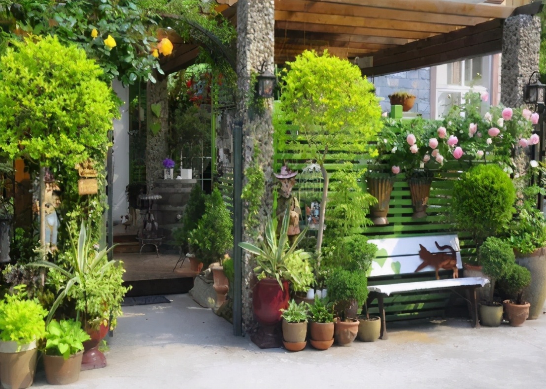 她40岁退休隐居,她40岁退休隐居无儿无女