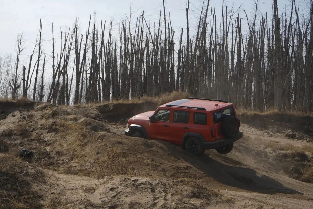 坦克300全新版本抢购,赛博坦克300回头率