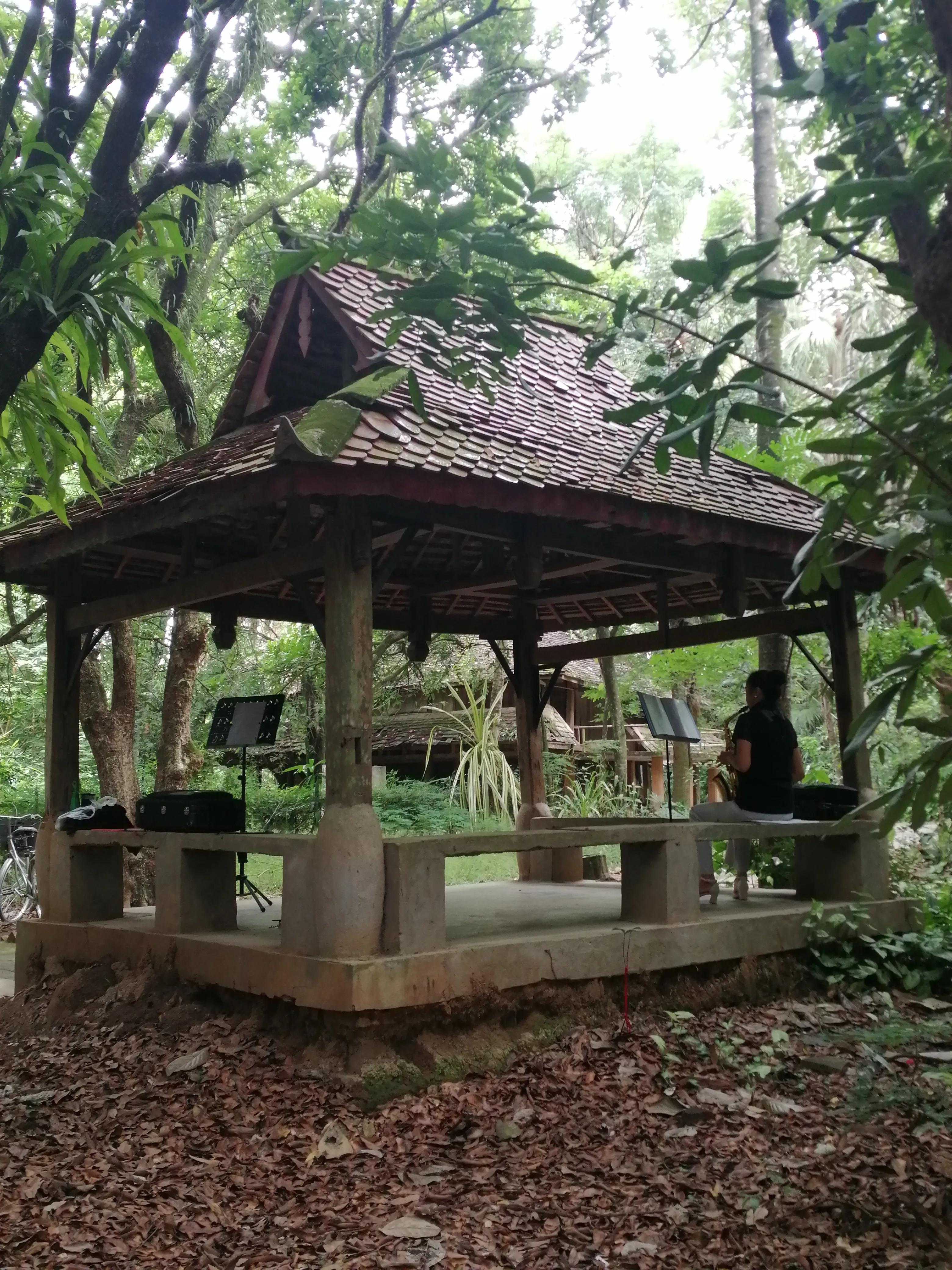 景洪市西双版纳风情园视频,西双版纳景洪市民族风情园