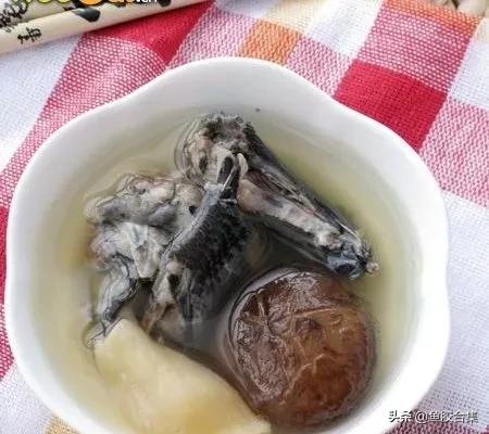 100种鱼胶煲汤配方,花胶鱼胶的做法简单又好吃