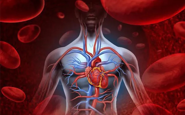 过敏性紫癜夏天血管变脆吗,血管紫癜是什么原因引起的