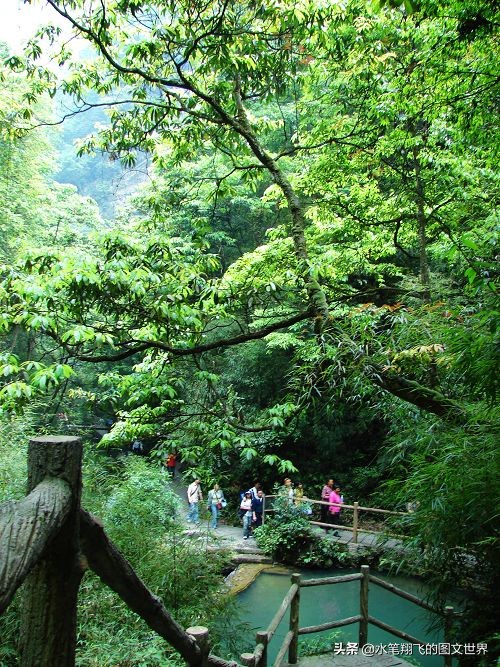 黑山谷深度洗肺,重庆黑山谷游记