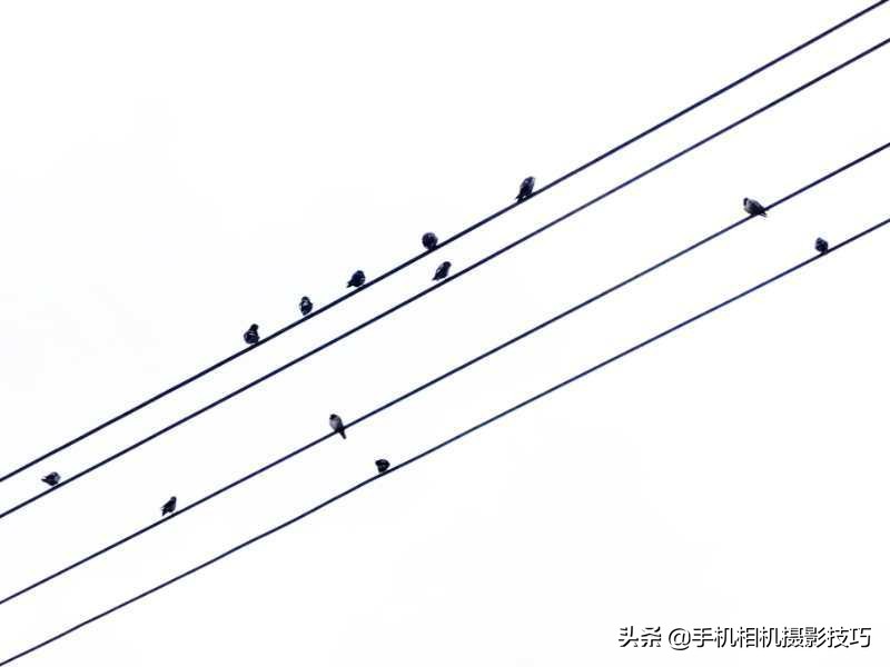 会摄影很酷,会摄影的人真的很酷