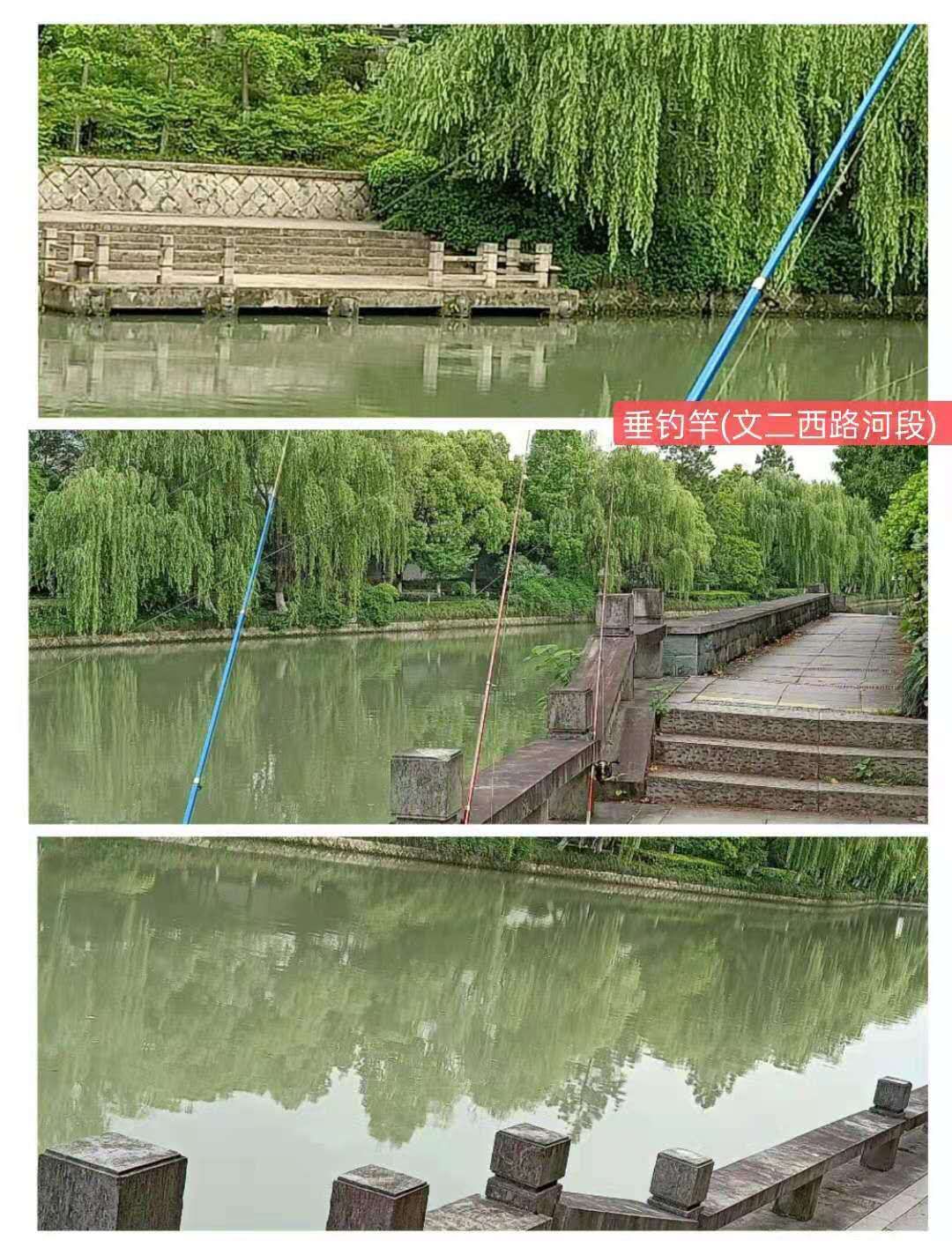 紫金港绿道钓鱼,紫金港河钓鱼