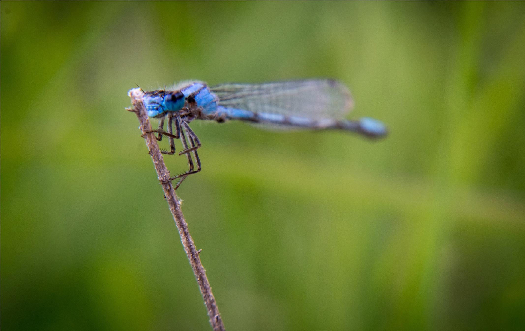单反相机各个功能按钮图解,图解单反相机基本原理