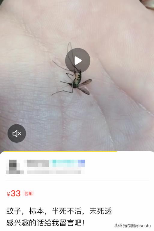 “抽过的烟头”、“半死不活的蚊子”，这些奇葩商品刷新网友三观