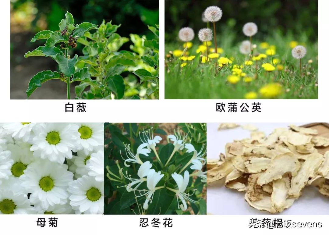 汗臭除臭小妙招,夏季防汗臭小妙招