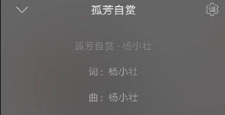 被批抄袭的网红歌,被抄袭的网红歌