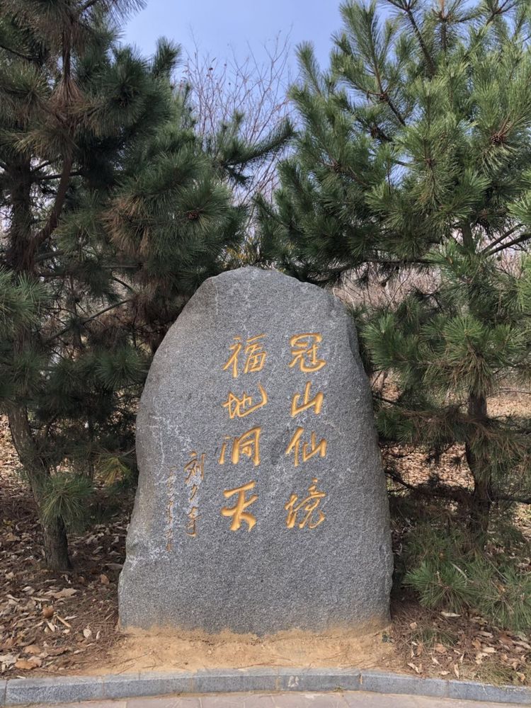 临沭冠山银杏树,临沭冠山道教