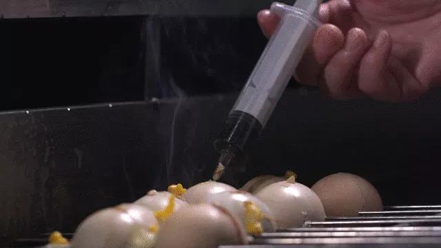 你学会了吗谐音,烧烤鸡蛋串