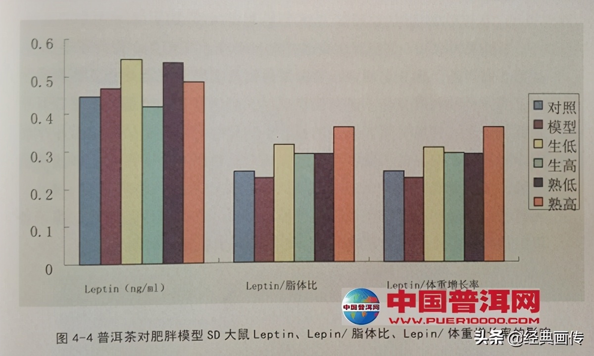 荷叶普洱茶有减肥的功效吗,普洱茶的减肥功效