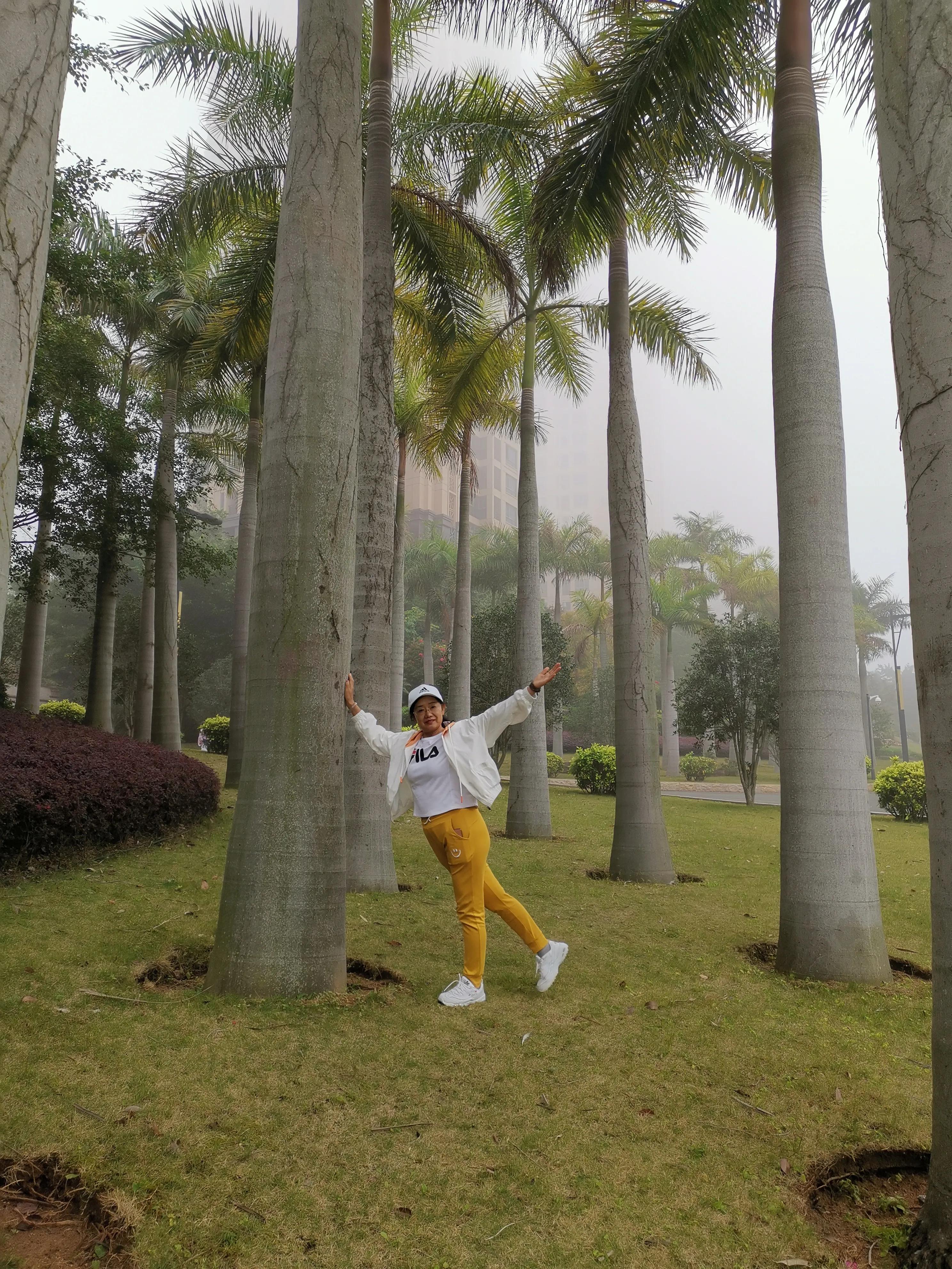 濮戝珎鏃呰璁板綍,濮戝珎鏃呰鏃ヨ