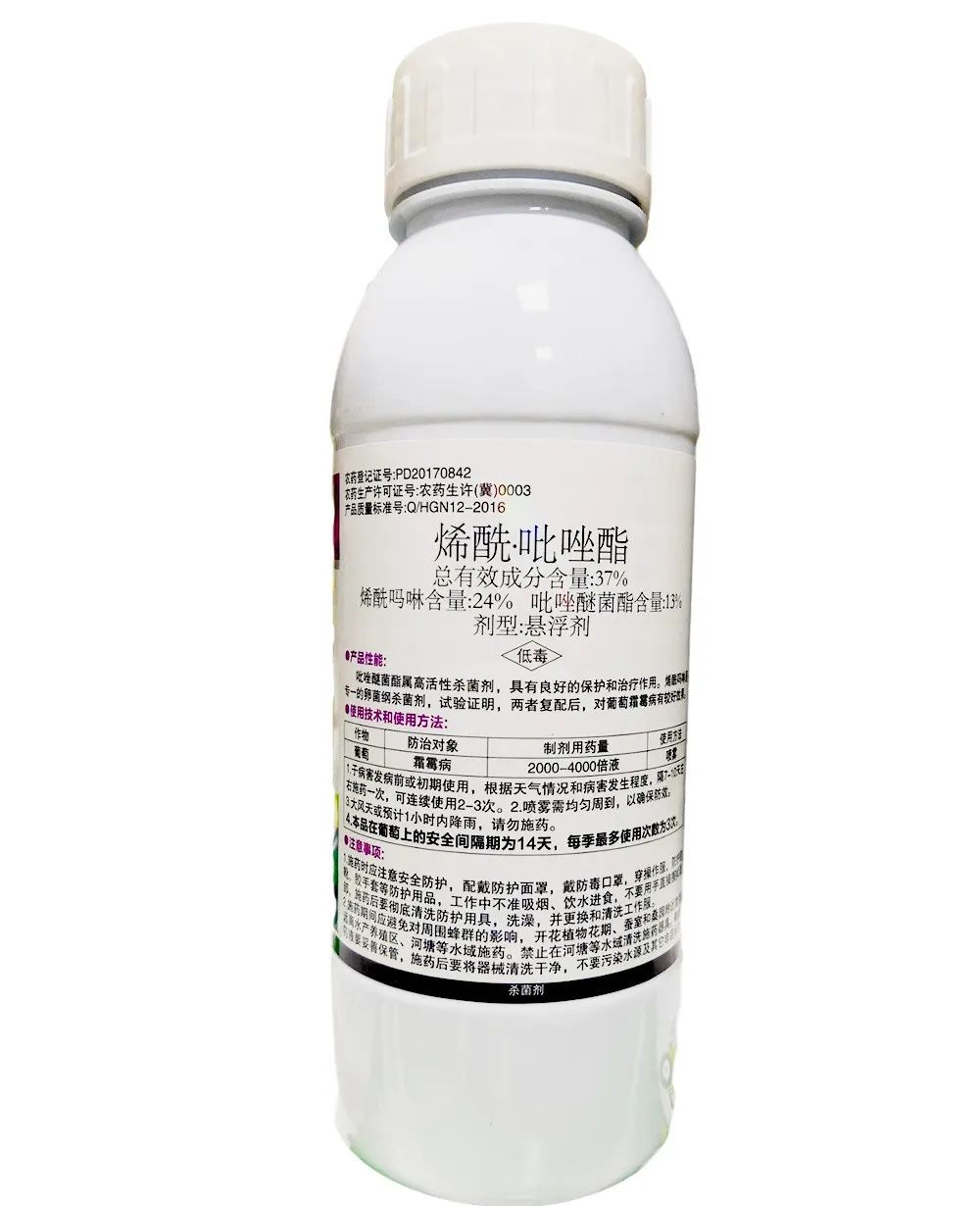 炭疽如何治疗以及预防,炭疽的预防和治疗