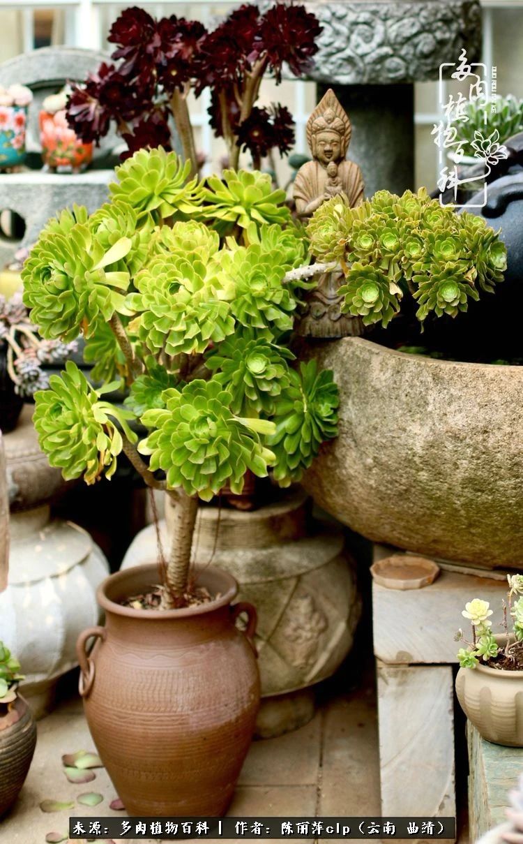 佛系看风景的地方,佛系风景空境视频