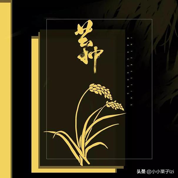 最火的十首最好听背景音乐,2019年最火背景音乐