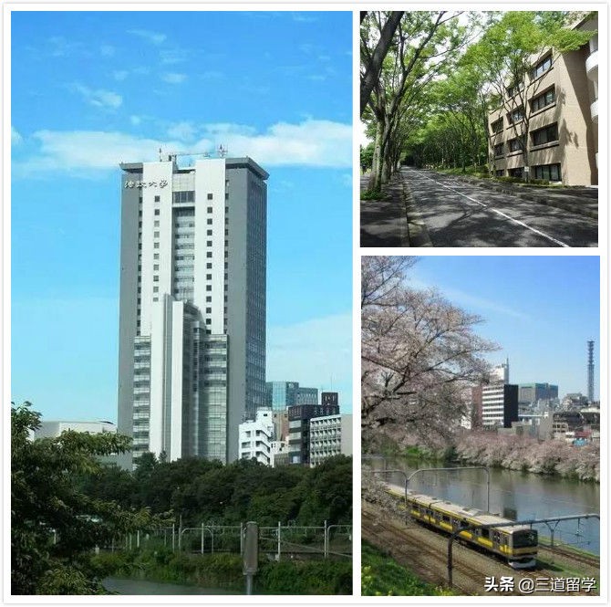 走进日本名校丨宝藏大学—法政大学