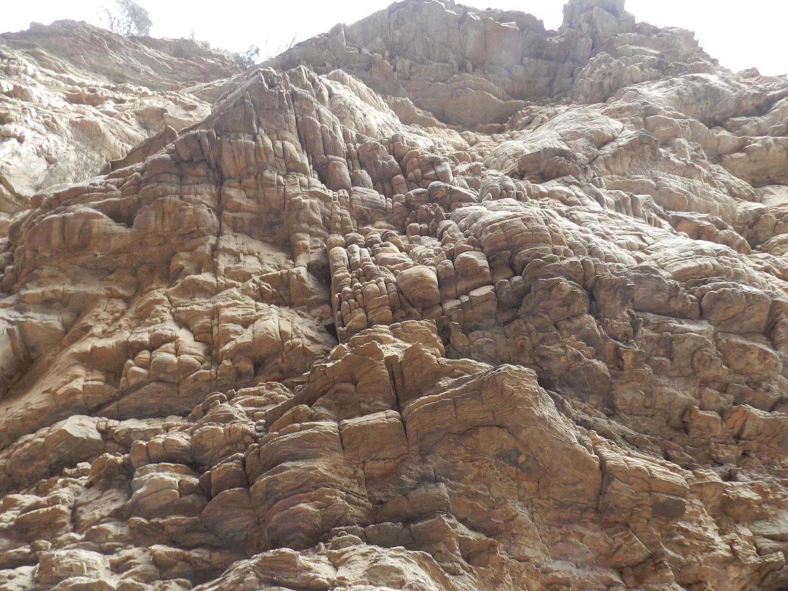 在山里迷路遇到狐狸,在山里迷路遇到了好漂亮的小姑娘