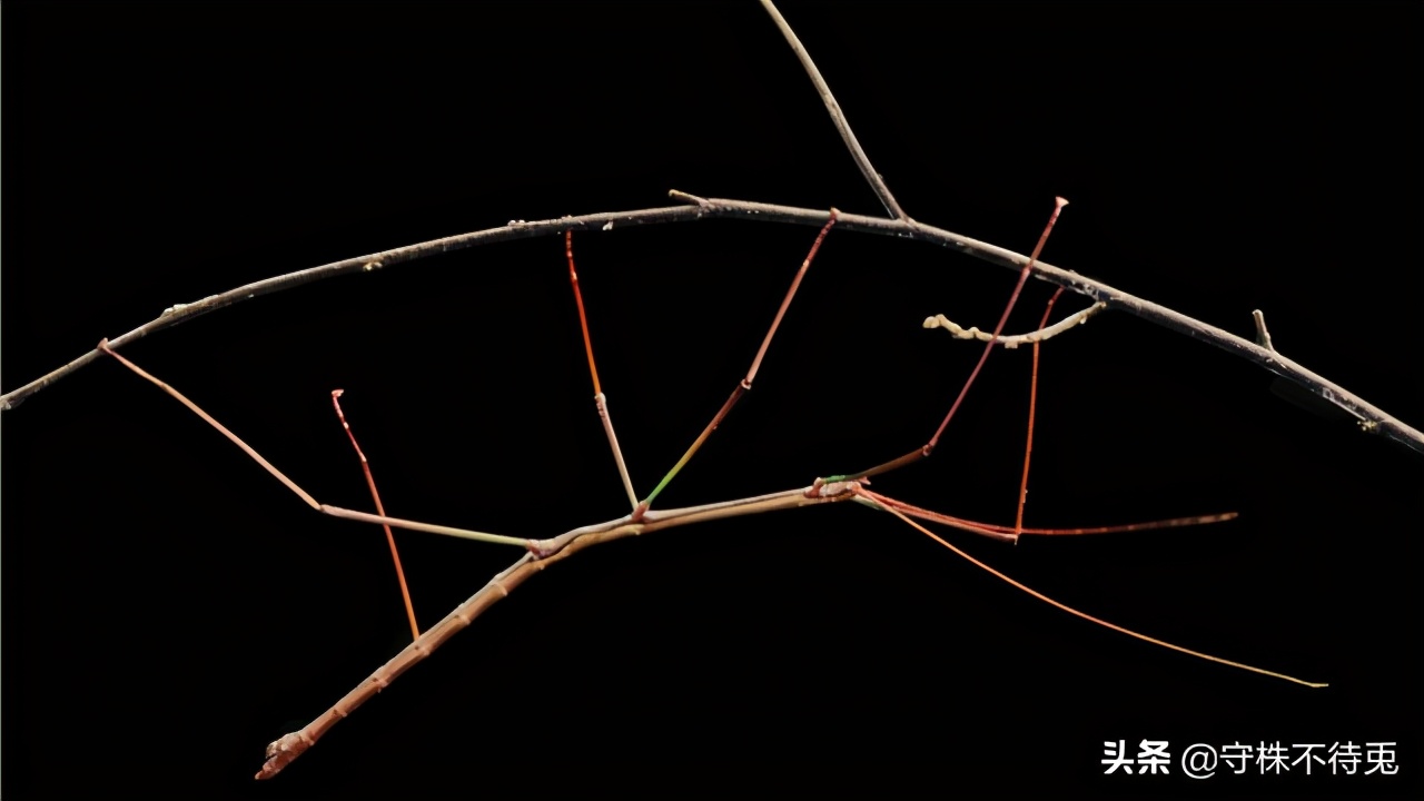 100个细思极恐的冷门知识,16条有趣的冷知识