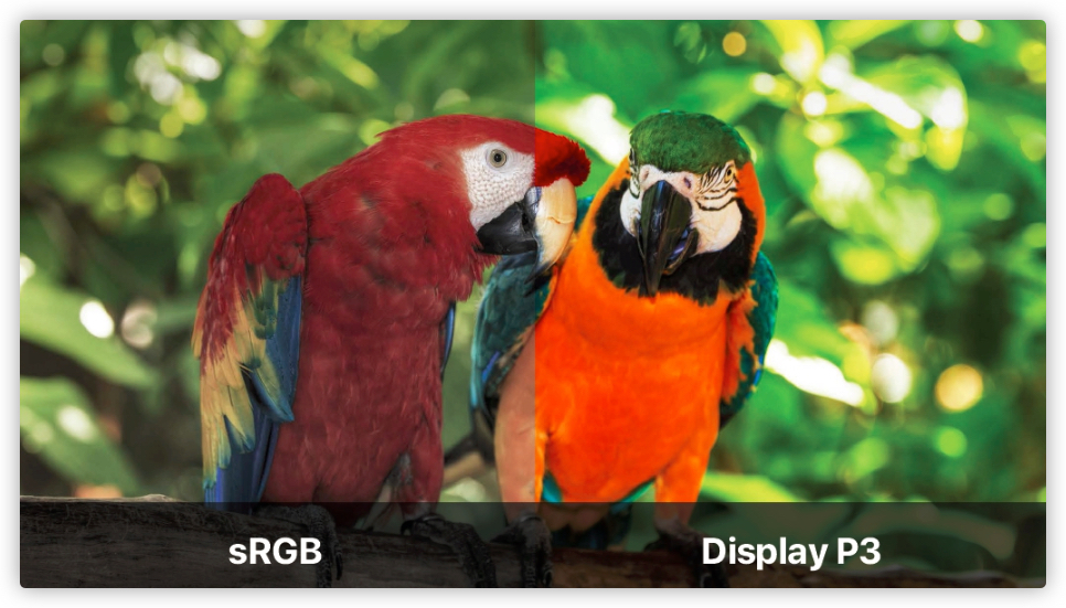 2023年4K显示器推荐及选购指南,双11显示器推荐2021排行榜