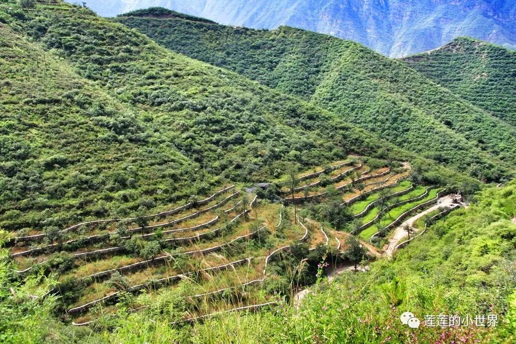 寻古迹的莲莲：京西探秘——古道上深深浅浅的马蹄窝……