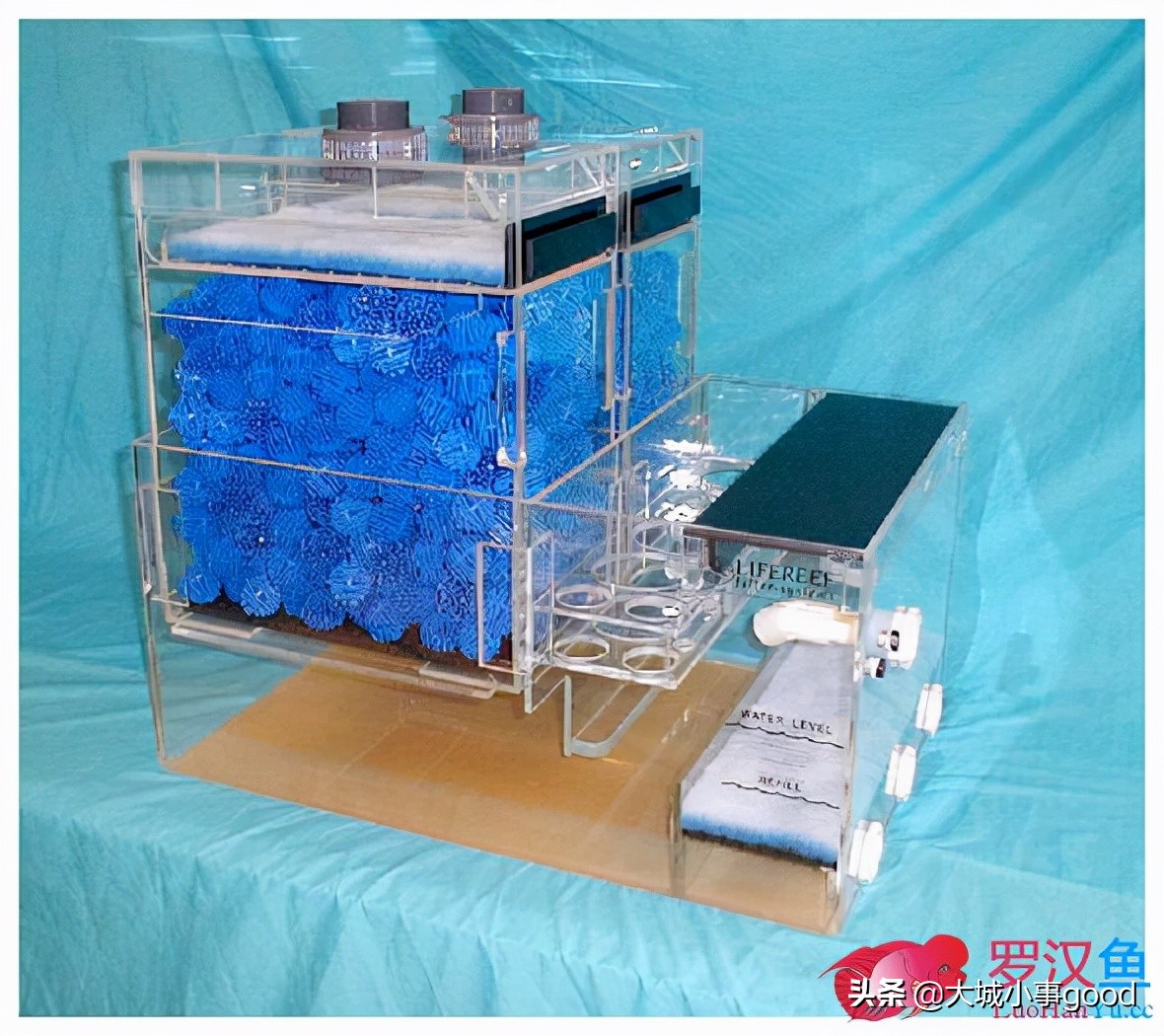 鱼缸过滤系统的基础解析,鱼缸过滤桶过滤原理