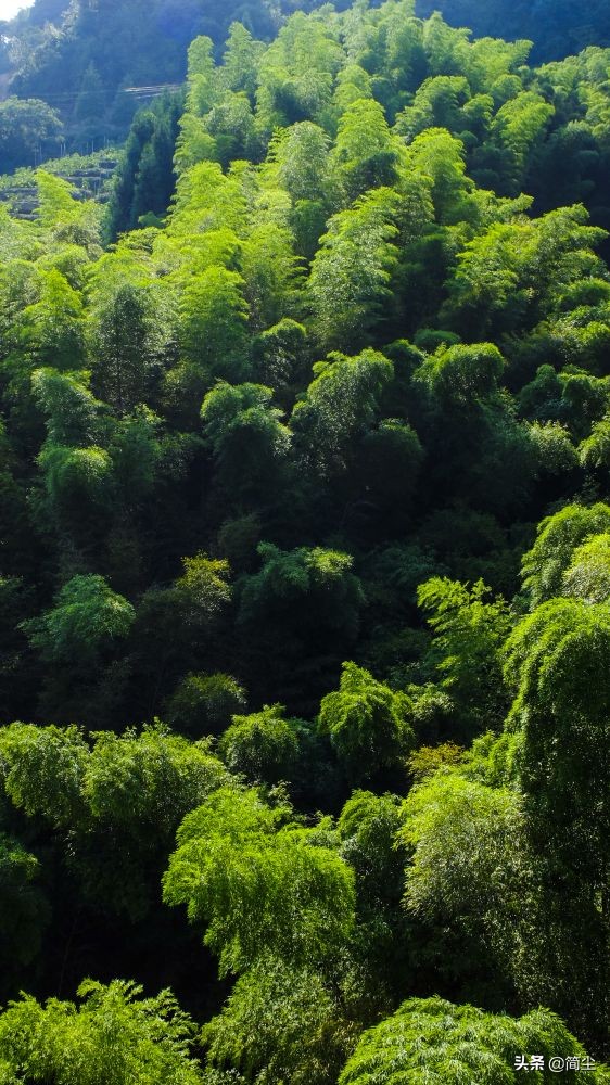 重庆北碚三圣镇老街,重庆三圣老街全景图
