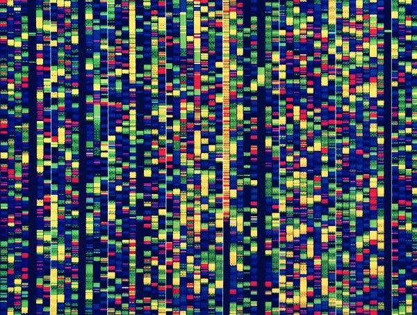 联想超算,联想的超算技术是怎么来的