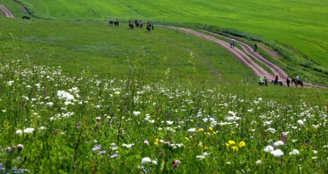 北京避暑,北京值得一去的皇家园林