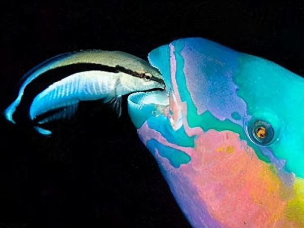 闆岄泟寮備綋鎬庝箞绻佹畺,闆岄泟寮備綋濡備綍绻佹畺