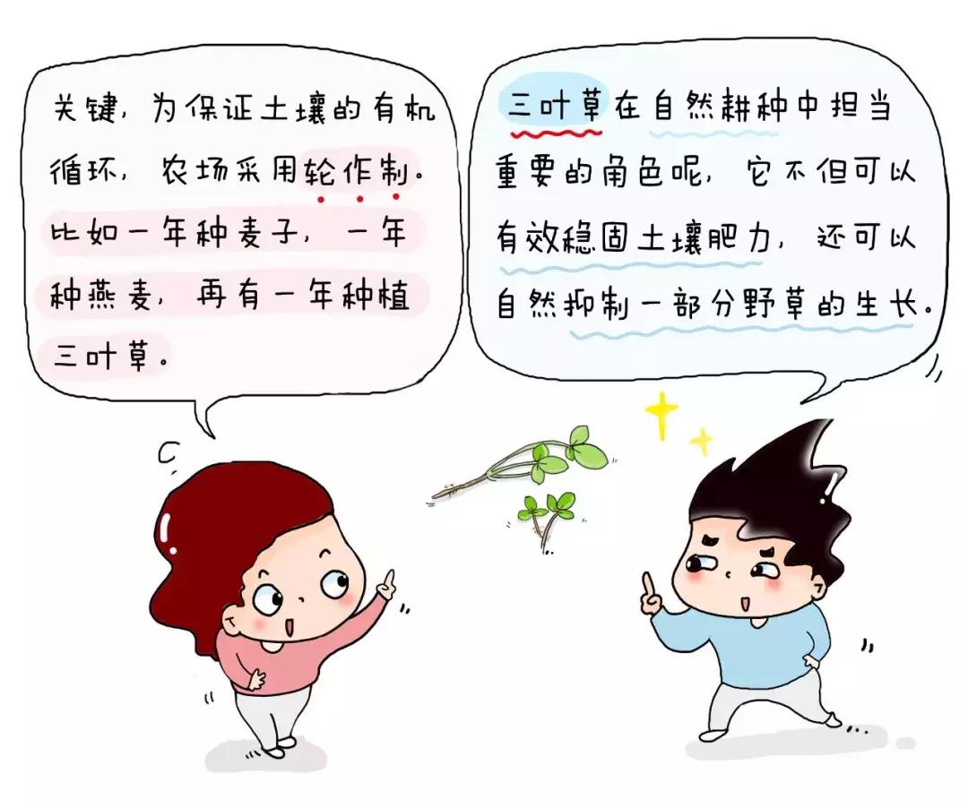 做对这一件事，小白妈妈也能选出优质口粮