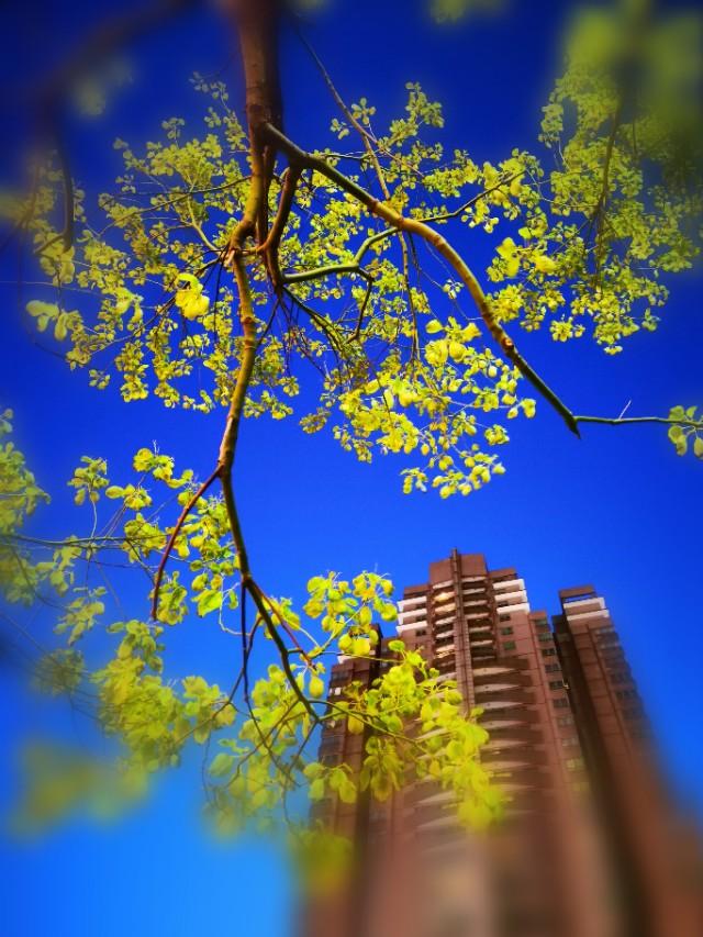 旋转拍摄法,旋转相机拍摄