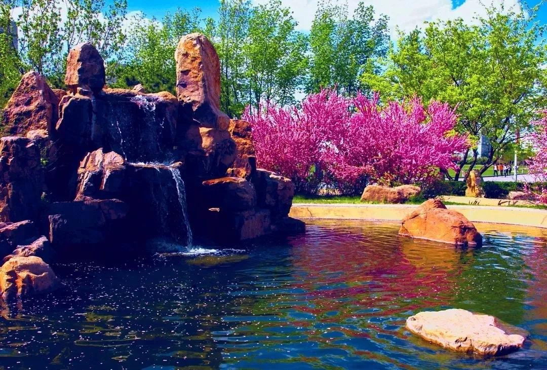 沈阳化工大学辽宁省排名,沈阳化工大学2020招生计划辽宁省