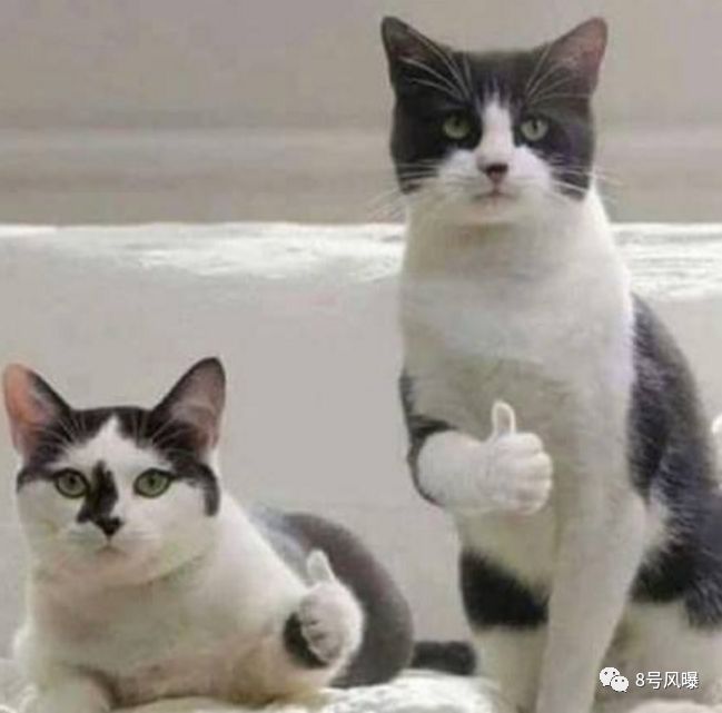 一开口就想笑,一开口就想笑怎么办