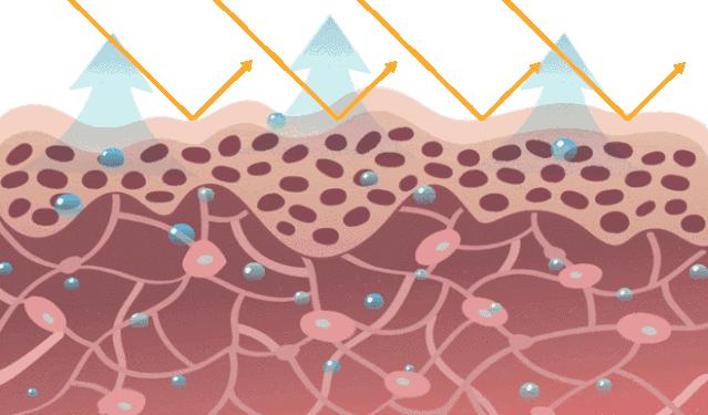 涂了隔离真的能保护皮肤吗,为什么不涂隔离底妆更服帖