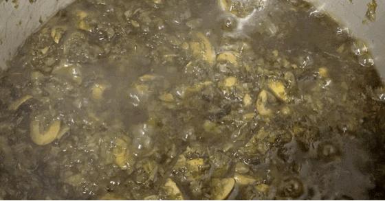 正宗的广东橄榄菜的制作,潮汕橄榄菜制作过程曝光