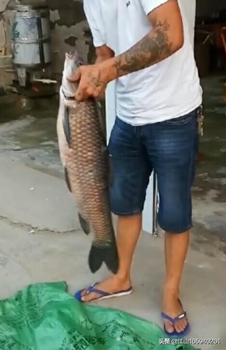 天然大钓场,天然氧吧钓场