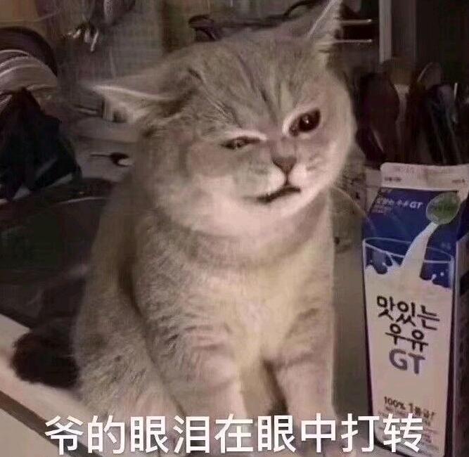 三句话让队友破防,三句话让原神破防