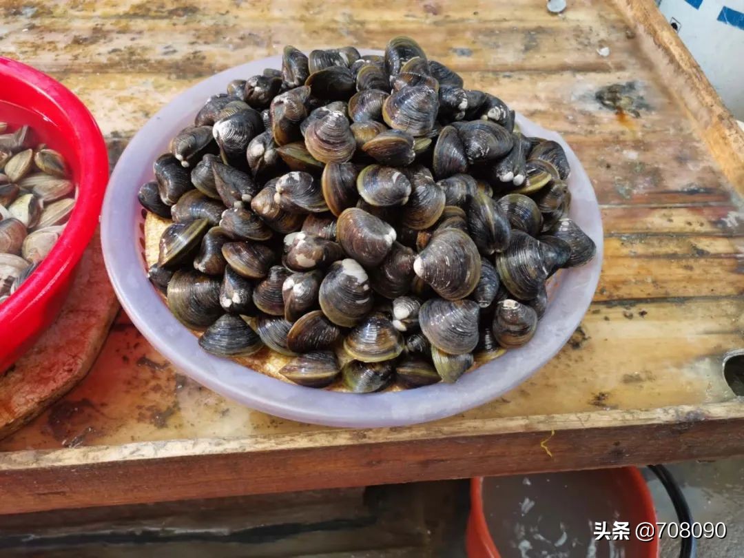 连江北茭鼻地质公园海滩,连江北茭鼻地质公园怎么走