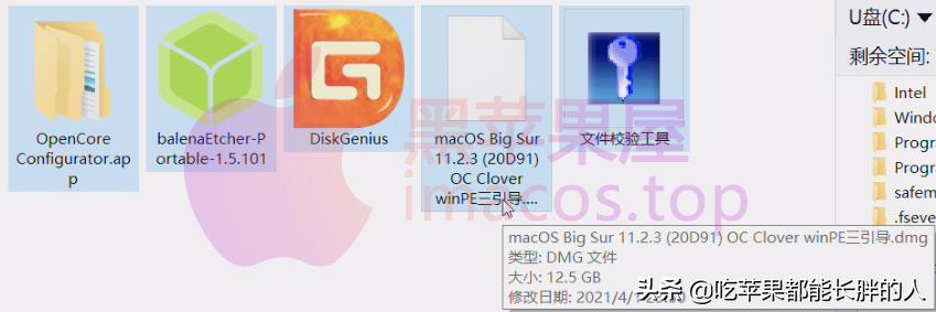 零基础2021最新macOSBigSur黑苹果安装完整教程opencore引导