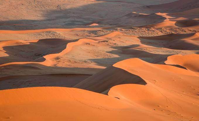 《说文解字》第257课：“隶”为什么是“逮”的本字？