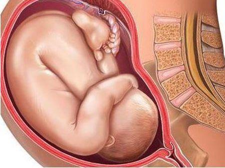 怀孕40周胎儿是什么样的,40周的孕妇是预产期到了吗